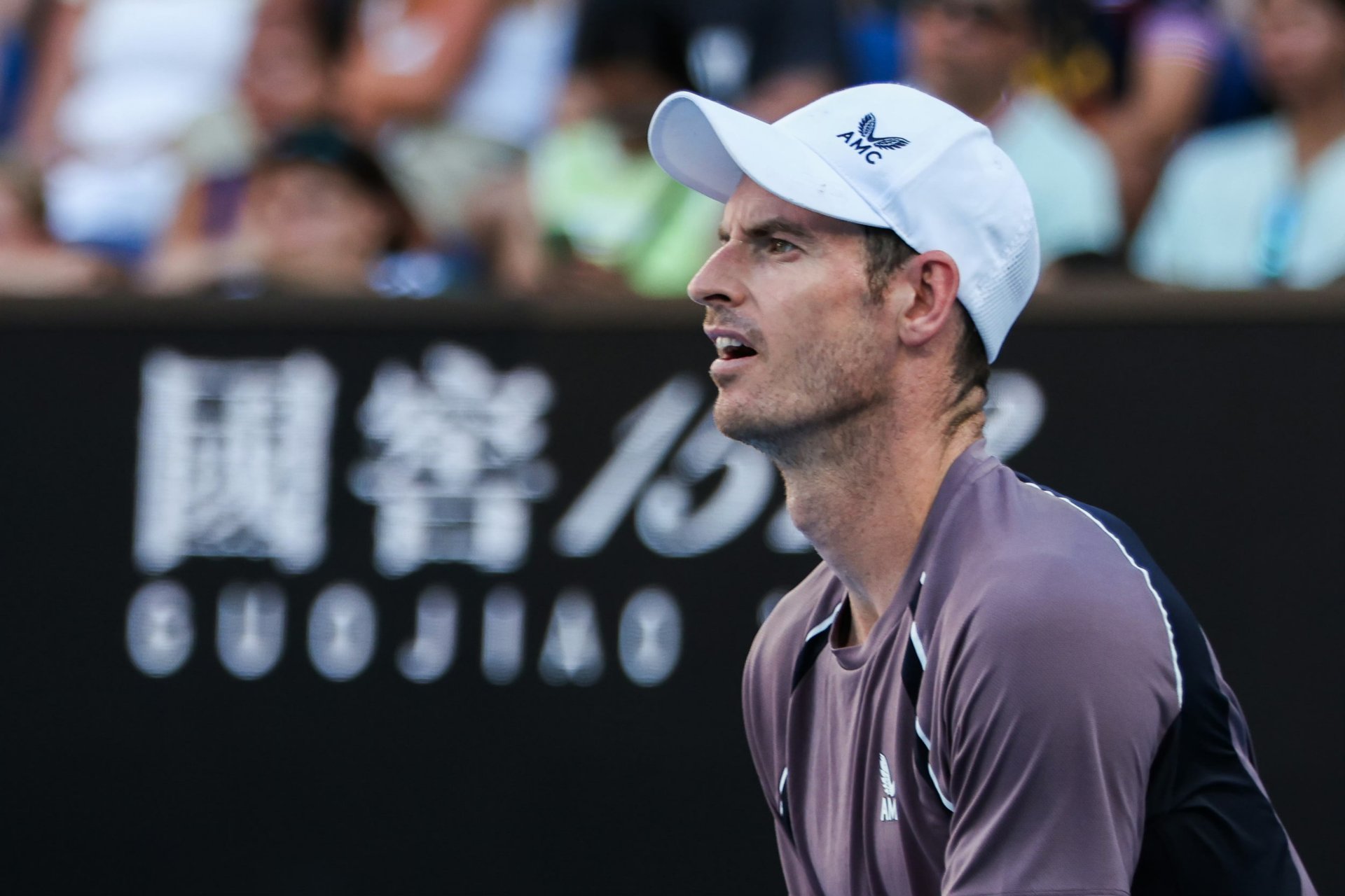 蒙特卡洛大师赛横扫澳网，穆雷点燃赛场