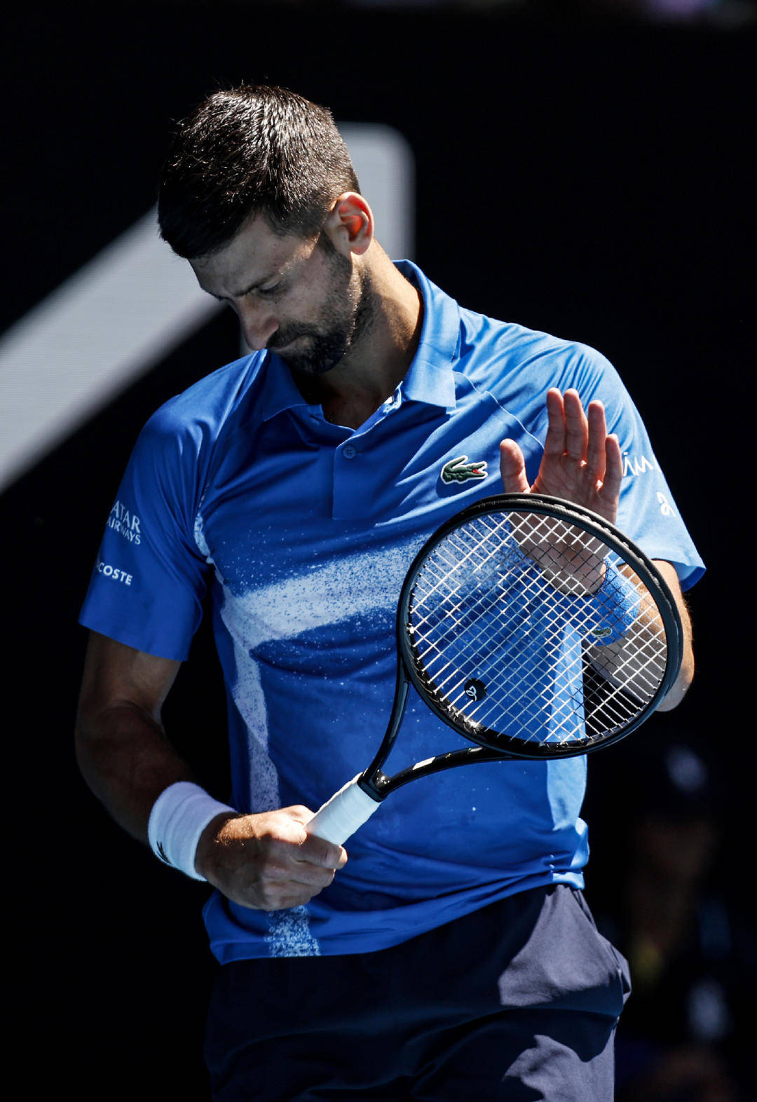 蒙特卡洛大师赛横扫澳网，穆雷点燃赛场