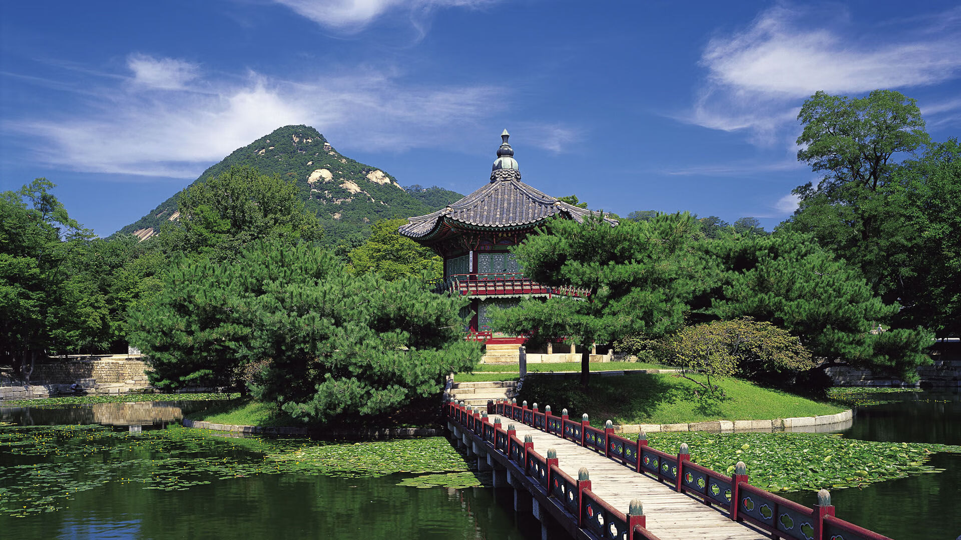 国王主场力克开拓者，库里冠军级表现闪耀联盟