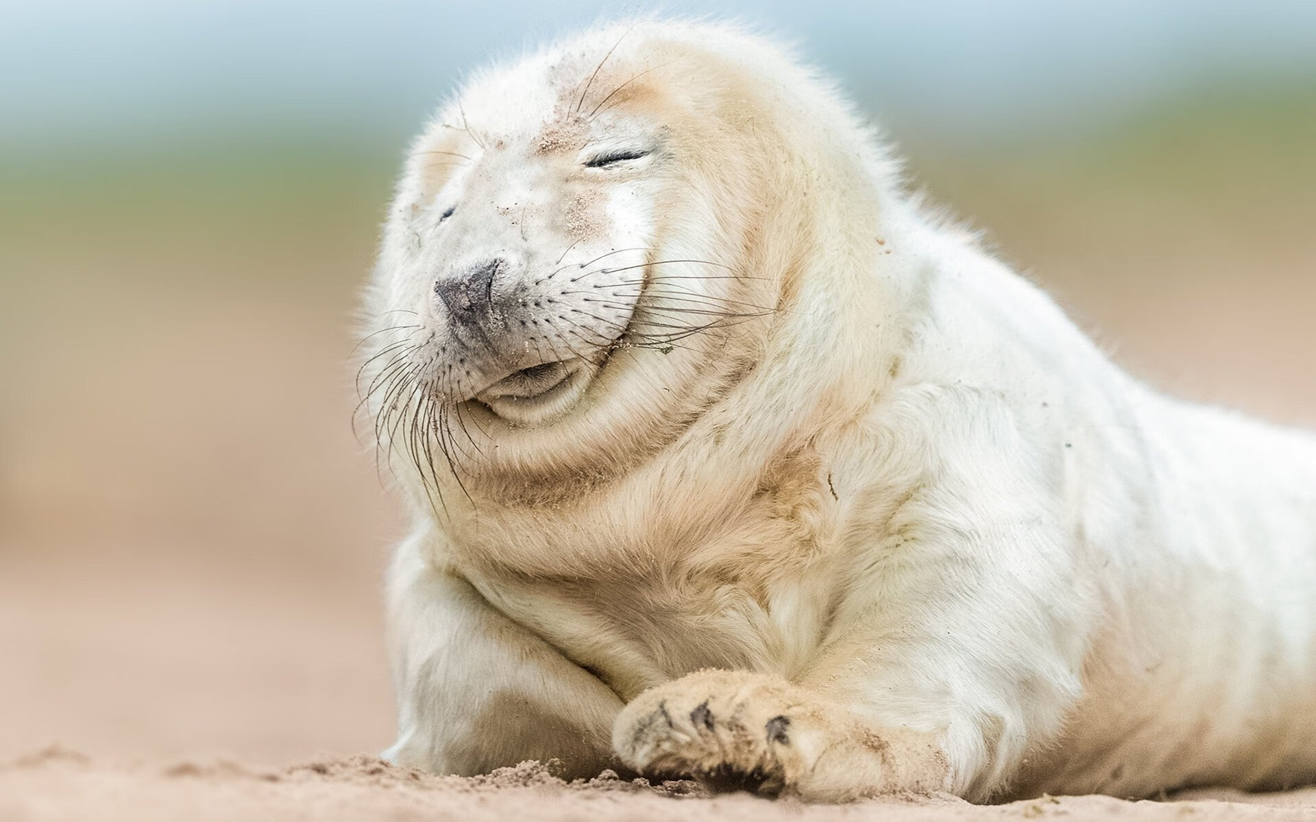 焦点之战稳字诀，洪都拉斯如何让希腊神话哑火？