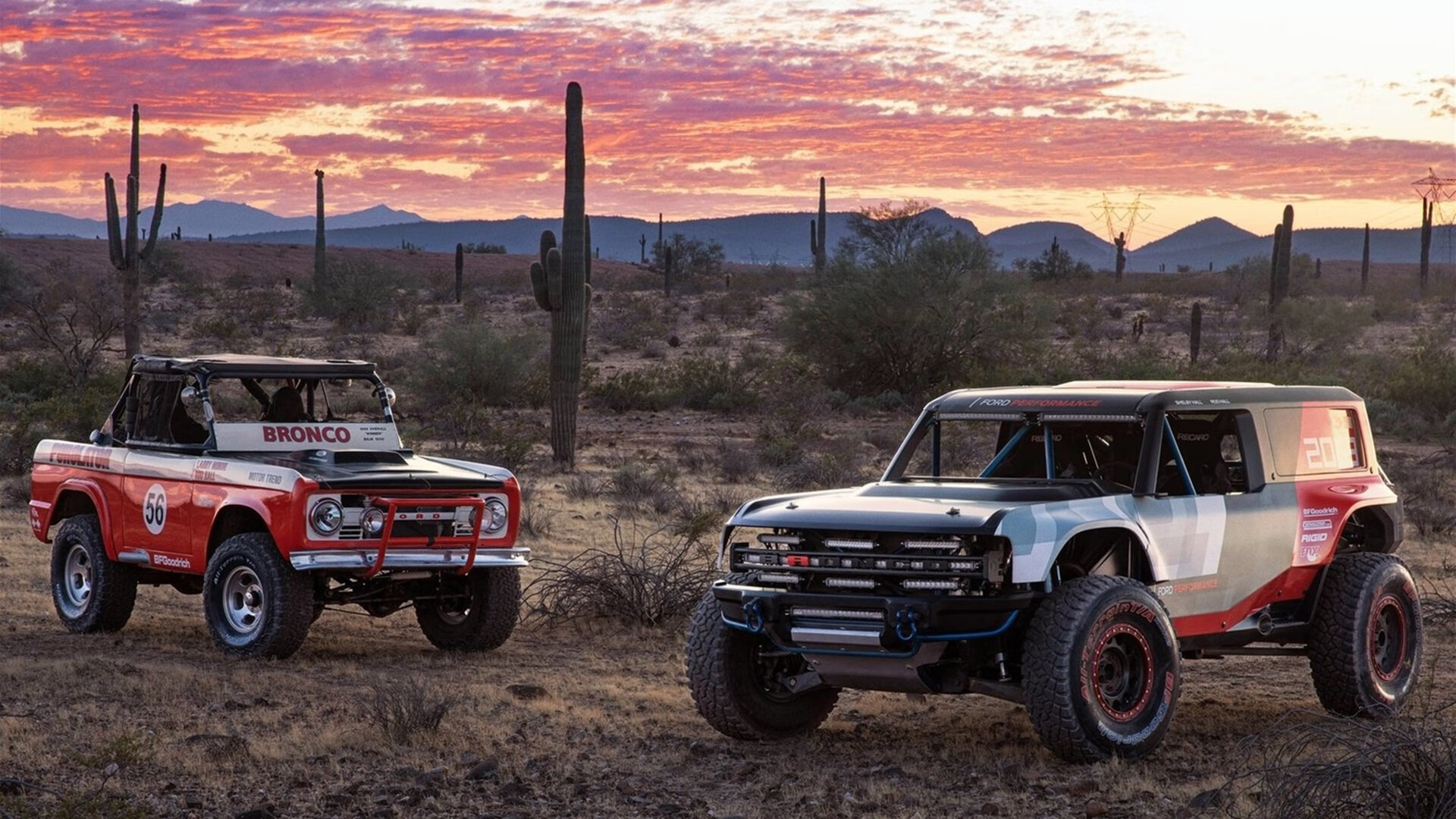 绿茵与硬木的幻想曲，当佩德里在NBA季后赛接管比赛