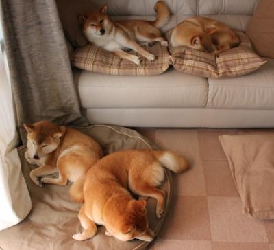 金属风暴中的手术刀，德国生死战，奥利维耶一箭定江山