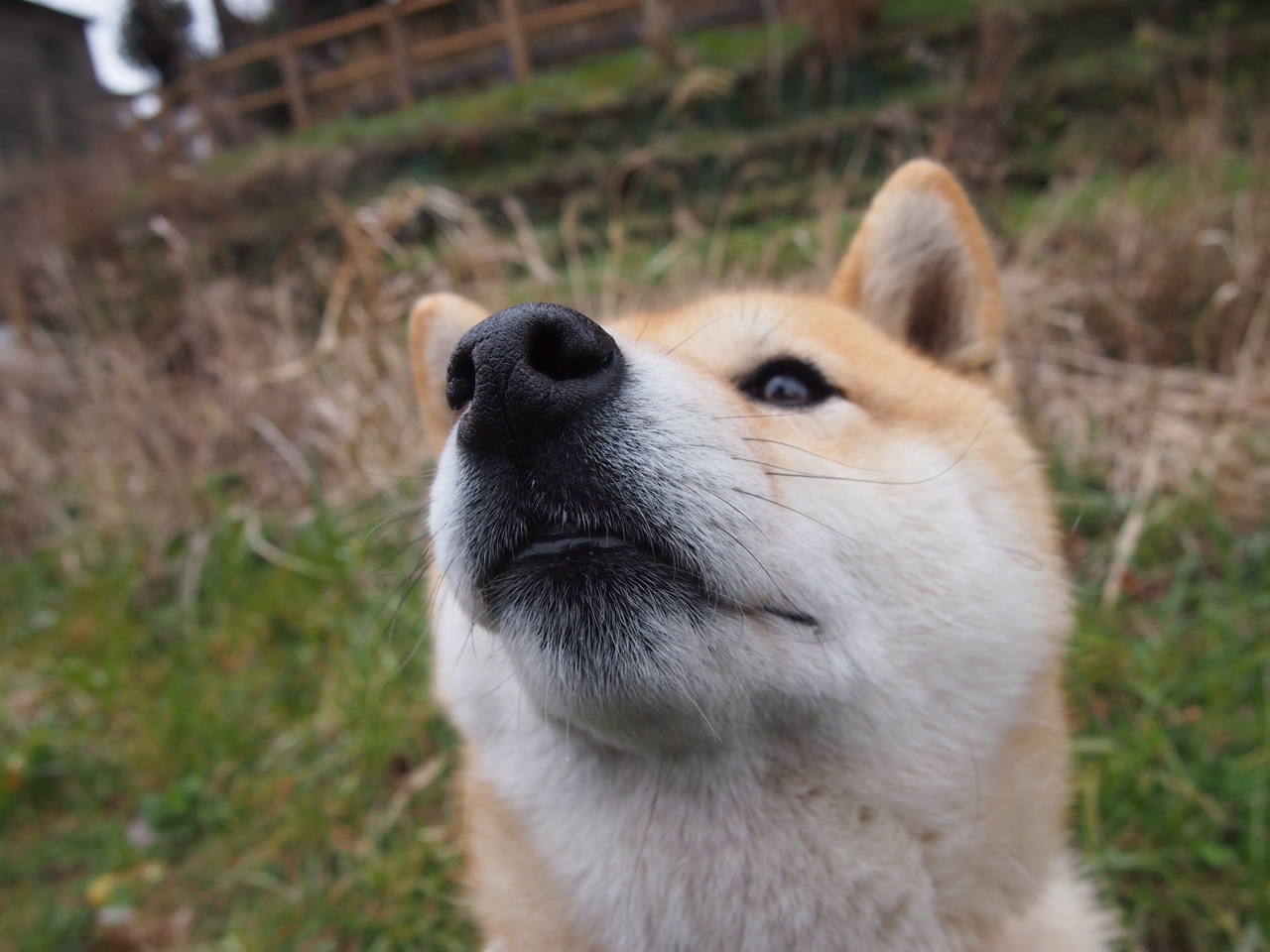 意甲焦点战与勇士一波流,体育赛场上的决胜风暴