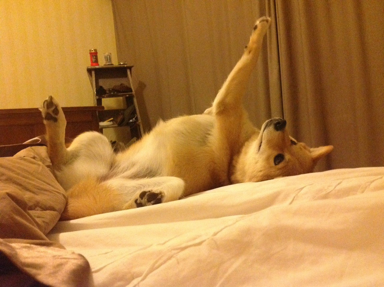 世俱杯时间-神迹与逆袭,当个人英雄主义遭遇团队意志的终极碰撞