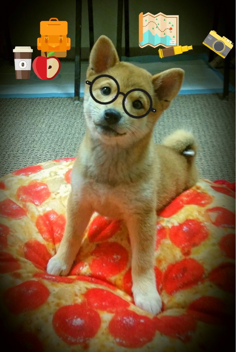 世俱杯-硬仗之夜的共同心跳，从NBA总决赛到若日尼奥的决胜场