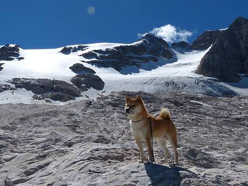 世俱杯时间-森林狼横扫公牛，利拉德关键先生显神威