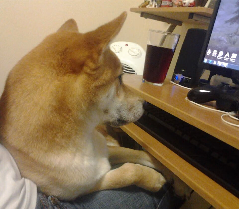 布克导演终场时刻，太阳用巨星答案完成京城解构