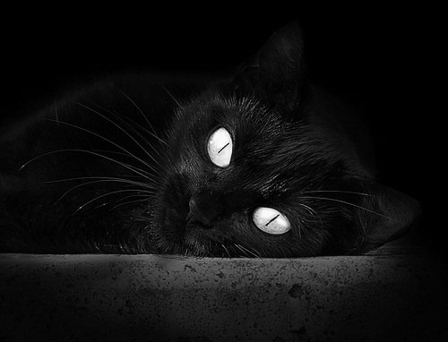 世俱杯2025-王者归来，字母哥末节接管比赛，率队逆转热火