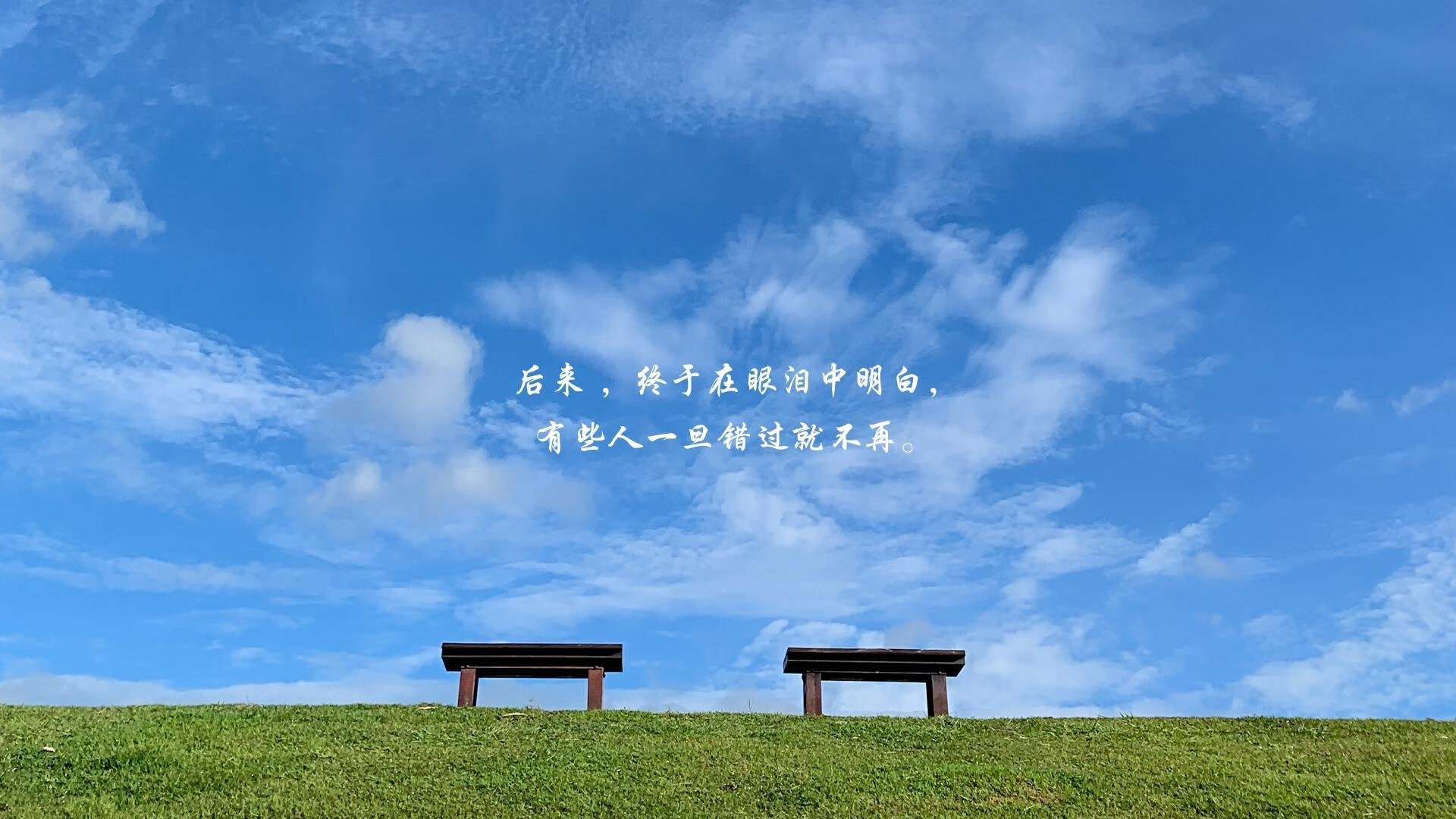 2026世界杯H组强强对话,波兰横扫喀麦隆,京多安闪耀全场,默契配合定乾坤