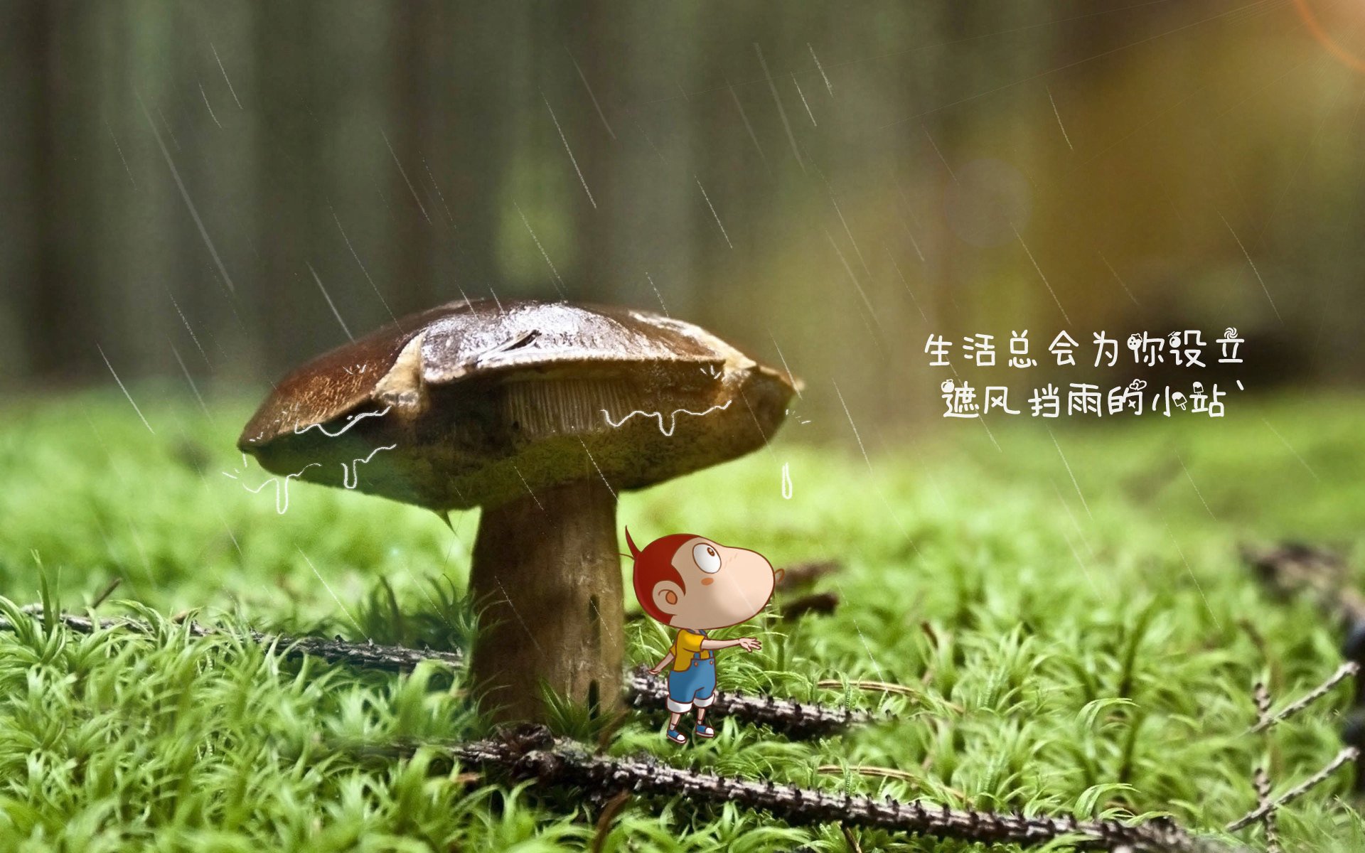 魔笛新传,克罗地亚狂想曲奏响,维尼修斯领衔闪电战击溃澳大利亚