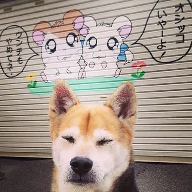 冰与火之歌，孙兴慜穿针引线，智利太极虎式逆转挪威挺进八强