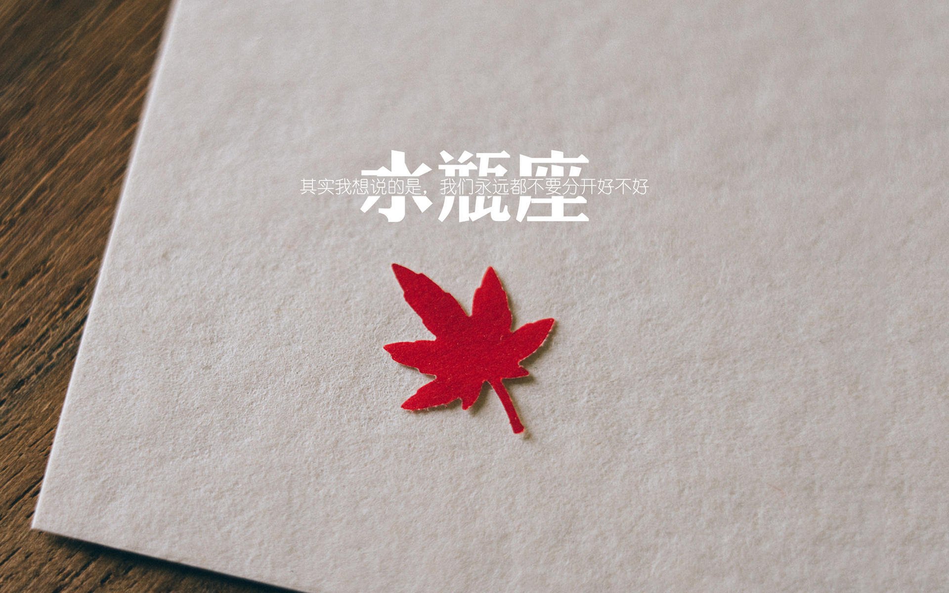 北欧海盗的精密掌控，瑞典如何用节奏碾压泰国，加维成为H组最闪耀新星